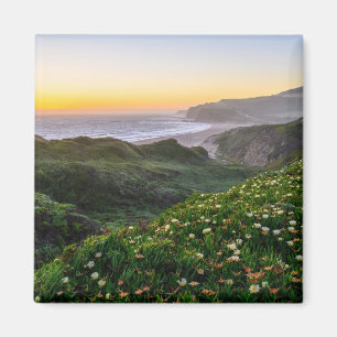 Bloemen   Santa Cruz Californië Magneet