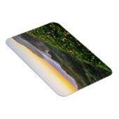 Bloemen | Santa Cruz Californië Magneet (Rechterzijde)