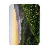 Bloemen | Santa Cruz Californië Magneet (Verticaal)