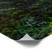 Bloemen | Santa Cruz Californië Poster (Hoek)