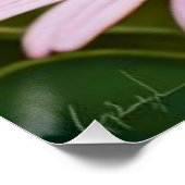 Bloemen schattig klein grijs kat perfect poster (Hoek)