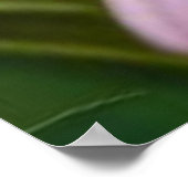 Bloemen schattig klein grijs kat poster (Hoek)