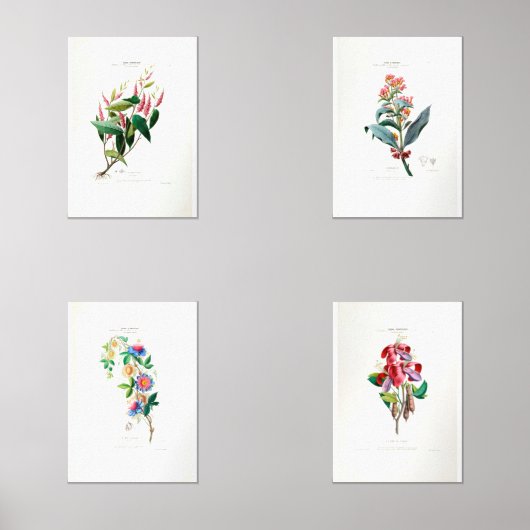  Bloemen Shabby Chic Flore D Amerique Floral Muurkunst Sets (Voorkant)