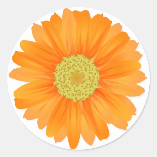 Bloemen Sinaasappel Gerbera Daisy Flowers Ronde Sticker (Voorkant)