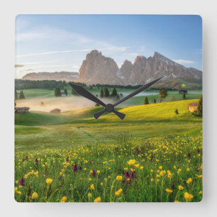 Bloemen   Spring Alpe di Siusi Langkofel Vierkante Klok