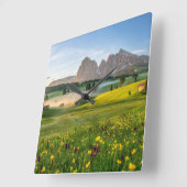 Bloemen | Spring Alpe di Siusi Langkofel Vierkante Klok (Hoek)