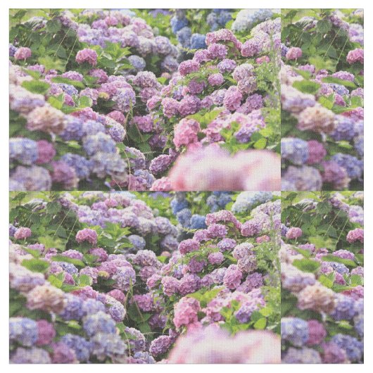 Bloemen stof! stof (Close Up)