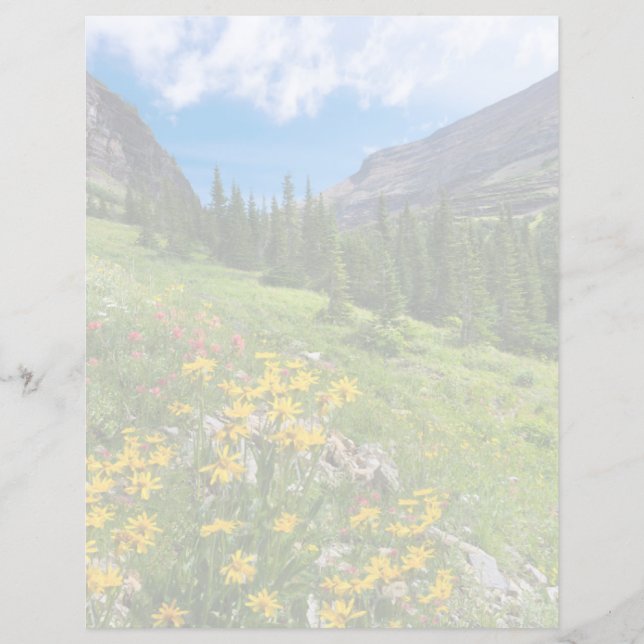 Bloemen | Stroompad Montana (Voorkant)