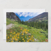 Bloemen | Stroompad Montana Bedankkaart (Voorkant)