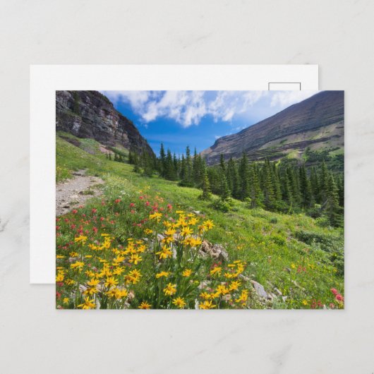 Bloemen | Stroompad Montana Briefkaart (Voorkant / Achterkant)