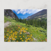 Bloemen | Stroompad Montana Briefkaart (Voorkant)