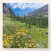 Bloemen | Stroompad Montana Glazen Onderzetter (Voorkant)