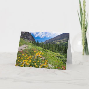 Bloemen Stroompad Montana Kaart