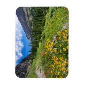 Bloemen | Stroompad Montana Magneet (Verticaal)