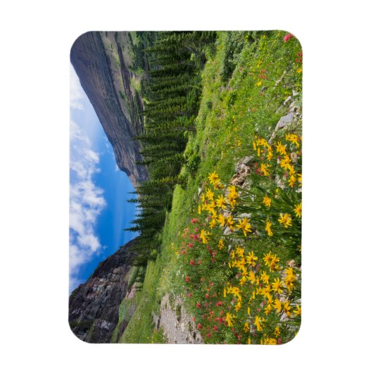 Bloemen | Stroompad Montana Magneet (Verticaal)