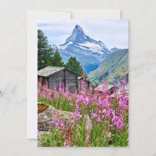 Bloemen   Summer Matterhorn Zwitserland Bedankkaart