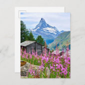 Bloemen | Summer Matterhorn Zwitserland Briefkaart (Voorkant / Achterkant)