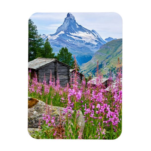 Bloemen | Summer Matterhorn Zwitserland Magneet (Verticaal)