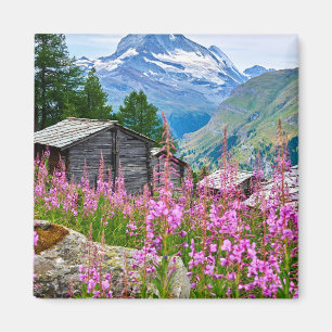 Bloemen   Summer Matterhorn Zwitserland Magneet