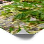 Bloemen | Summer Matterhorn Zwitserland Poster (Hoek)