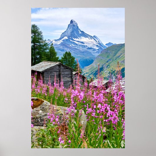 Bloemen | Summer Matterhorn Zwitserland Poster (Voorkant)