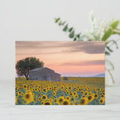 Bloemen | Sunflower Field Provence, Frankrijk Bedankkaart (Staand voorkant)