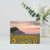 Bloemen | Sunflower Field Provence, Frankrijk Briefkaart (Staand voorkant)
