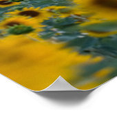 Bloemen | Sunflower Field Provence, Frankrijk Poster (Hoek)