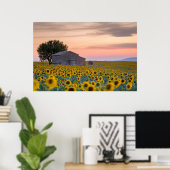 Bloemen | Sunflower Field Provence, Frankrijk Poster (Thuiskantoor)