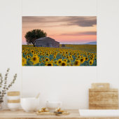 Bloemen | Sunflower Field Provence, Frankrijk Poster (Keuken)