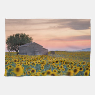 Bloemen   Sunflower Field Provence, Frankrijk Theedoek