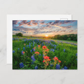 Bloemen | Texas Bluebonnets & Indian Paintborstel Briefkaart (Voorkant / Achterkant)