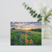 Bloemen | Texas Bluebonnets & Indian Paintborstel Briefkaart (Staand voorkant)