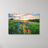 Bloemen | Texas Bluebonnets & Indian Paintborstel Canvas Afdruk (Voorkant)