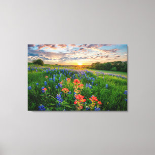 Bloemen Texas Bluebonnets & Indian Paintborstel Canvas Afdruk