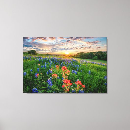 Bloemen | Texas Bluebonnets & Indian Paintborstel Canvas Afdruk (Voorkant)