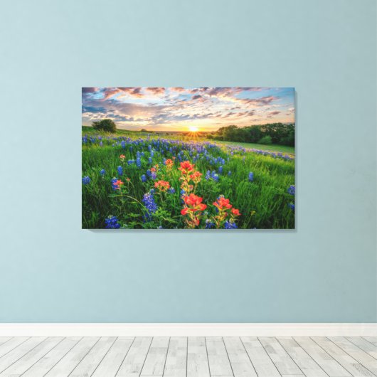 Bloemen | Texas Bluebonnets & Indian Paintborstel Canvas Afdruk (Insitu (Houten vloer))