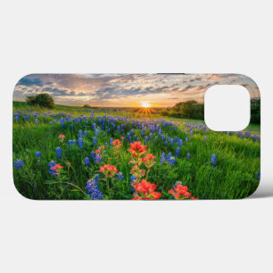 Bloemen Texas Bluebonnets & Indian Paintborstel Case-Mate iPhone Case