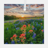 Bloemen | Texas Bluebonnets & Indian Paintborstel Glas Ornament (Achterkant)