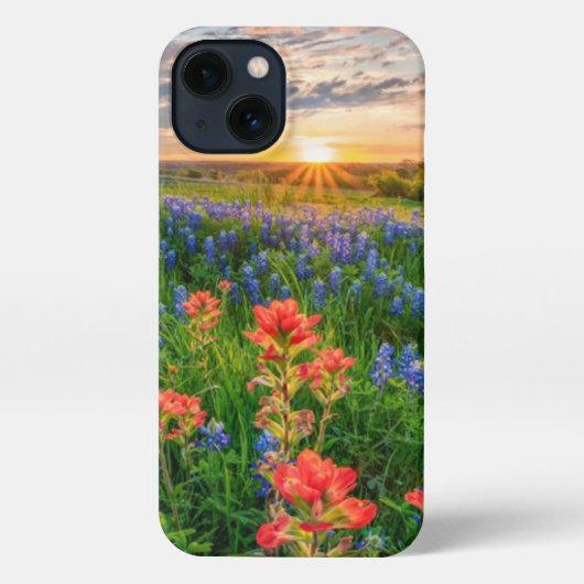 Bloemen | Texas Bluebonnets & Indian Paintborstel iPhone Hoesje (Achterkant)