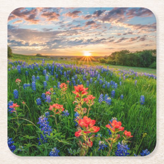 Bloemen | Texas Bluebonnets & Indian Paintborstel Kartonnen Onderzetters (Voorkant)