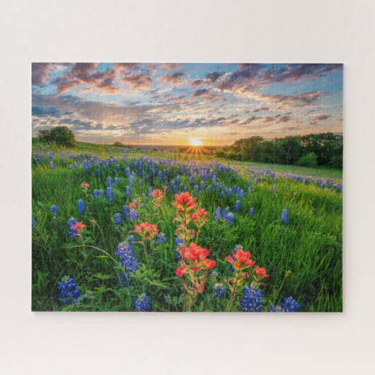 Bloemen | Texas Bluebonnets & Indian Paintborstel Legpuzzel (Horizontaal)
