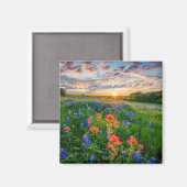Bloemen | Texas Bluebonnets & Indian Paintborstel Magneet (Voorkant / Achterkant)