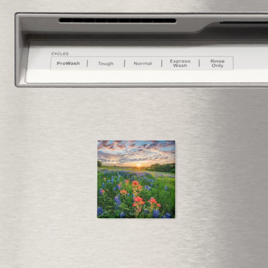 Bloemen | Texas Bluebonnets & Indian Paintborstel Magneet (Insitu (Vaatwasser))