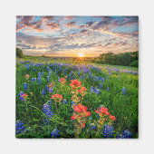 Bloemen | Texas Bluebonnets & Indian Paintborstel Magneet (Voorkant)