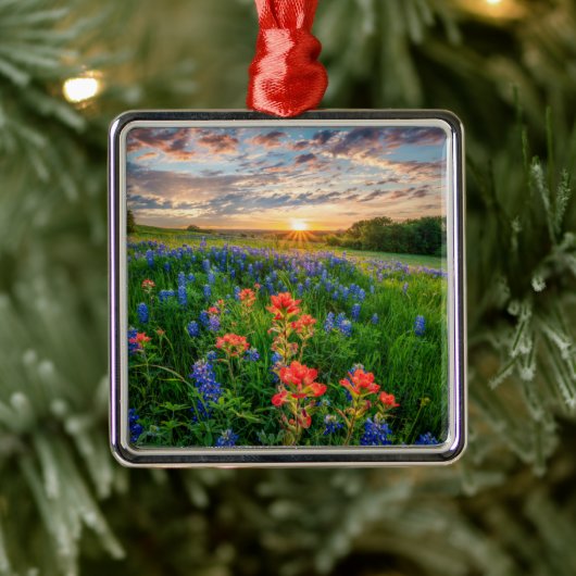 Bloemen | Texas Bluebonnets & Indian Paintborstel Metalen Ornament (Boom)