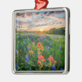 Bloemen | Texas Bluebonnets & Indian Paintborstel Metalen Ornament (Links)