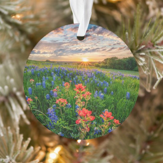 Bloemen | Texas Bluebonnets & Indian Paintborstel Ornament (Boom)