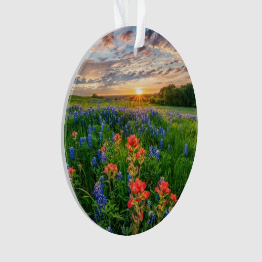 Bloemen | Texas Bluebonnets & Indian Paintborstel Ornament (voorkant)