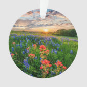 Bloemen | Texas Bluebonnets & Indian Paintborstel Ornament (voorkant)